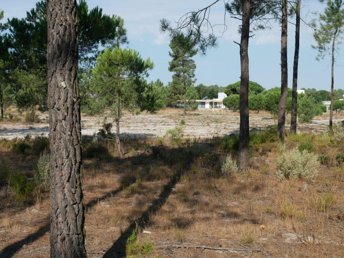 Casa Das Pergolas Comporta Εξωτερικό φωτογραφία